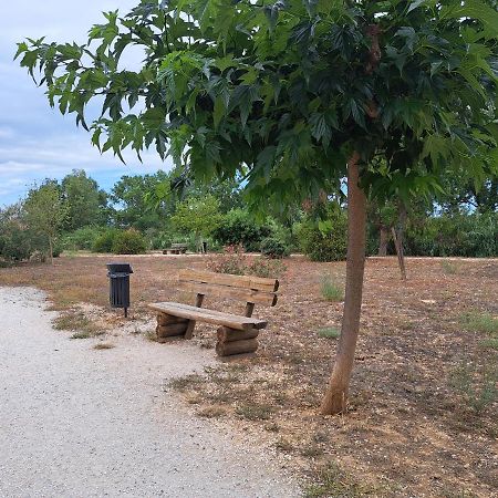 Studio Proche De Perpignan Peyrestortes Luaran gambar